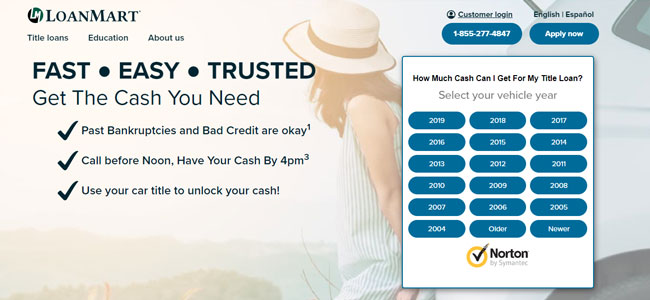 LoanMart Review Homepage